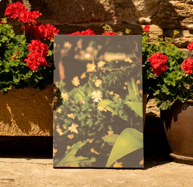 Telas Fine Art